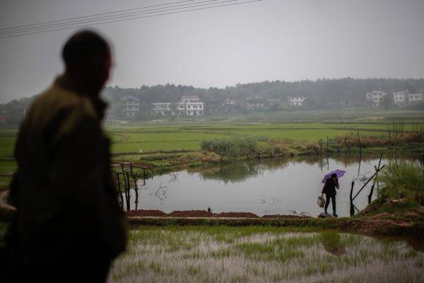 湖南兒童血鉛中毒賠償、超標不賠 媒體：誰在裝睡