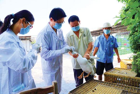 農業部：高度重視全力做好H7N9流感和重大動物疫病防控
