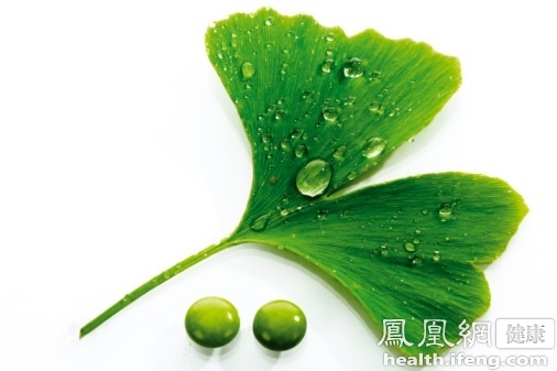 上海市藥監局：多家公司銀杏葉片不合格