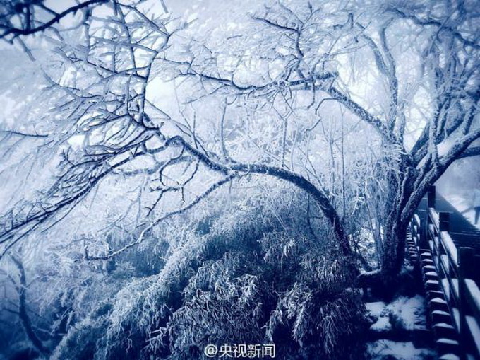 梵凈山現霧凇美景 遠望銀裝素裹潔白一片美似仙境