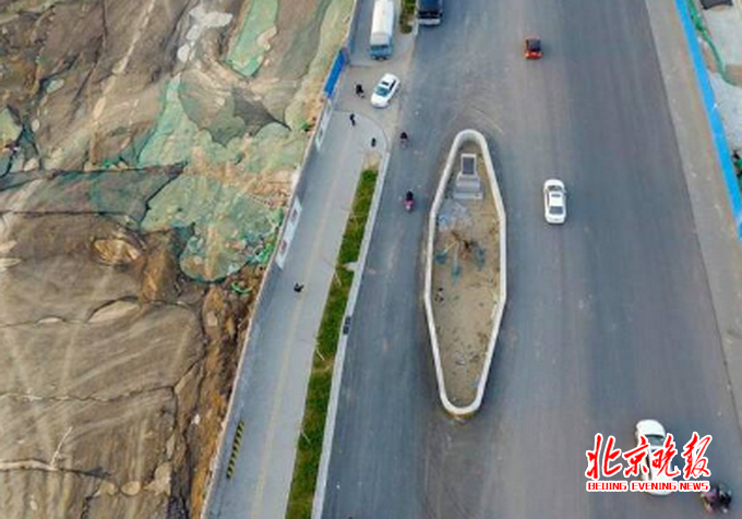 道路最牛釘子樹 城市主干道都為其讓路為何卻引來民眾喝彩？