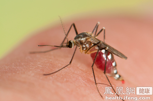 廣東在同一家庭中檢出兩例輸入性寨卡病毒感染病例