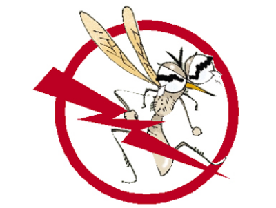 北京發(fā)現(xiàn)第二例輸入寨卡病毒病病例