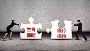 人社部：讓更多職業婦女享受生育保險有利于兩孩政策