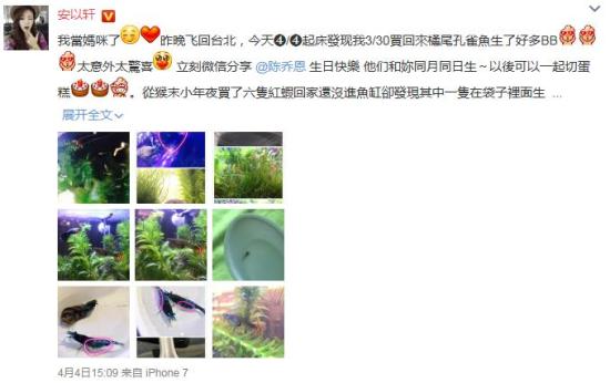 安以軒新婚大喊“要當媽”，雙喜臨門？