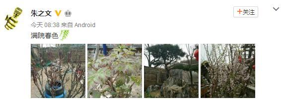 “大衣哥”的小院滿園春色 網友依然吐槽太邋遢