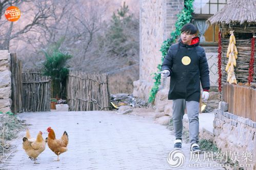 《向往的生活》收官動物成員走紅 正能量小H獲加雞腿