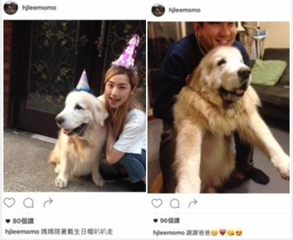 林俊杰秘戀女團團員？定情犬泄露二人曖昧互動