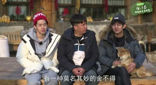 《向往的生活》結語，謝娜爆何炅大料，黃磊和任泉形成鮮明對比