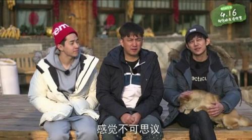 《向往的生活》結語，謝娜爆何炅大料，黃磊和任泉形成鮮明對比