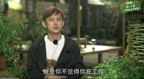 《向往的生活》結語，謝娜爆何炅大料，黃磊和任泉形成鮮明對比