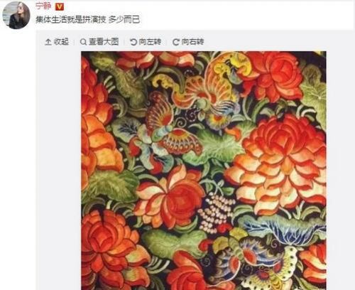 寧靜稱集體生活就是拼演技暗指花少3虛偽？網友：瞎說大實話