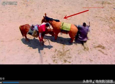 搞笑穿幫大合集 笑到肚子痛！