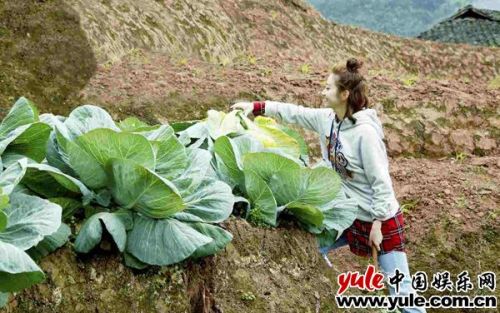 景甜公益真人秀《我想見到你》親和滿分 扛白菜開三輪接地氣