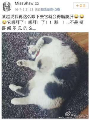 樊勝美的植物人父親也開了微博 簡直要把我笑死了
