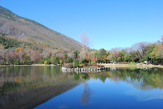 那藍(lán)和郭鑫年在一起了嗎